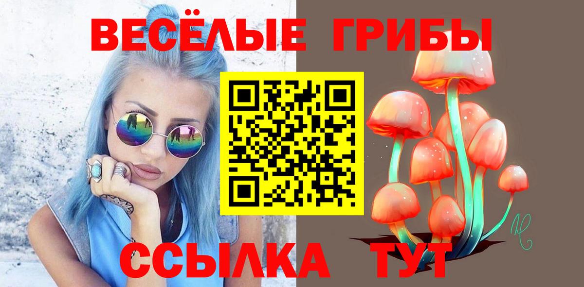 Псилоцибиновые грибы Psilocybe  Вход с VPN  Норильск 